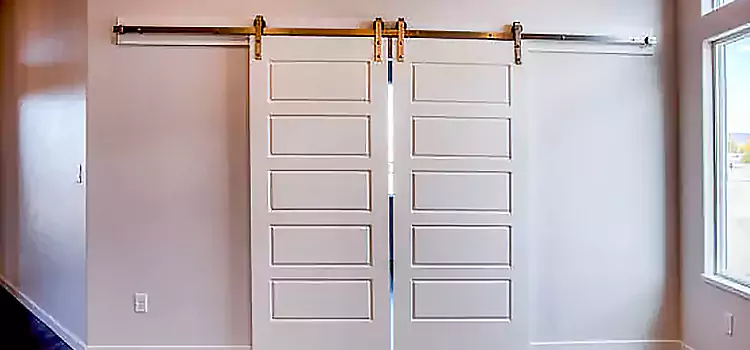 Glass Barn Door with Installation Hardware Kit Salina